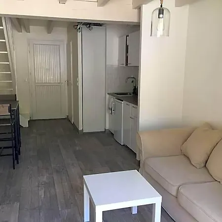 T3 En Duplex Avec Grande Piscine Apartament Anglet