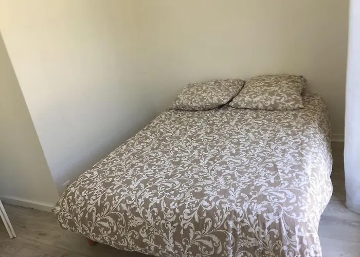 T3 En Duplex Avec Grande Piscine Anglet